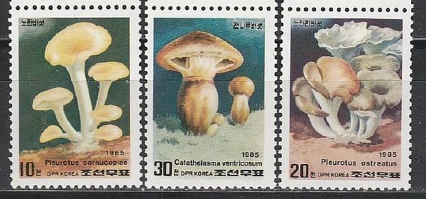 Грибы, КНДР 1985, 3 марки